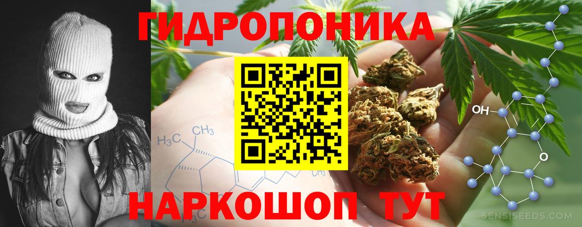 Каннабис планчик Северск
